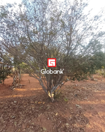 Imagem Imóvel com 2 Quartos à Venda, 2.750 m² em Bocaiuva - Montes Claros Imagem Imóvel com 2 Quartos à Venda, 2.750 m² em Bocaiuva - Montes Claros