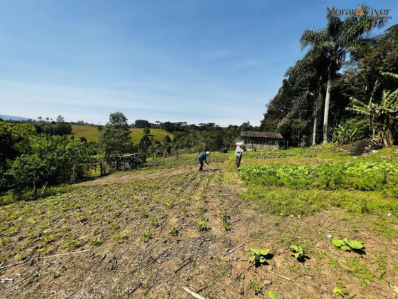 Imagem Chácara à Venda, 6.300 m² em Zona Rural - Tijucas Do Sul