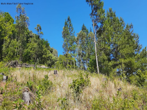 Imagem Imóvel com 2 Quartos à Venda, 50 m² em Linha Pirajá Baixa - Nova Petrópolis Imagem Imóvel com 2 Quartos à Venda, 50 m² em Linha Pirajá Baixa - Nova Petrópolis