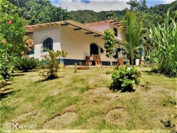 Imagem Imóvel com 3 Quartos à Venda, 135.000 m²