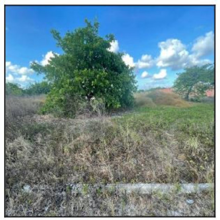 Imagem Terreno à Venda, 4.032 m² em Dourado - Horizonte Imagem Terreno à Venda, 4.032 m² em Dourado - Horizonte