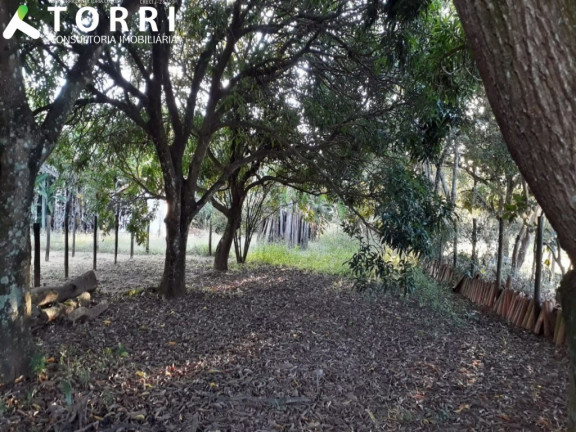 Imagem Imóvel com 3 Quartos à Venda, 23.800 m² em Centro - Boituva Imagem Imóvel com 3 Quartos à Venda, 23.800 m² em Centro - Boituva