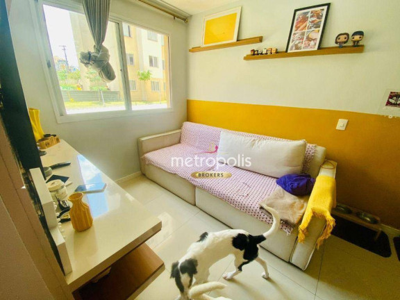 Imagem Apartamento com 2 Quartos à Venda, 41 m² em Cambuci - São Paulo Imagem Apartamento com 2 Quartos à Venda, 41 m² em Cambuci - São Paulo