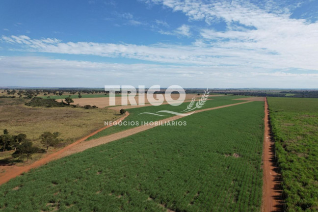 Imagem Fazenda à Venda, 115 m² em Zona Rural - Quirinópolis Imagem Fazenda à Venda, 115 m² em Zona Rural - Quirinópolis