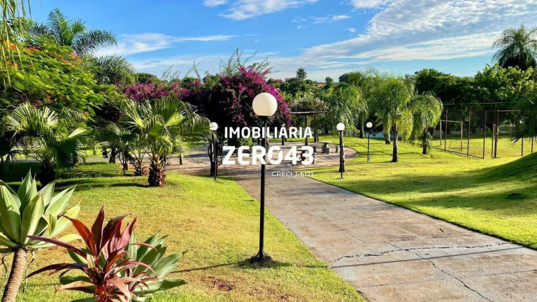 Imagem Apartamento com 2 Quartos à Venda, 46 m² em Jardim Nações Unidas - Londrina Imagem Apartamento com 2 Quartos à Venda, 46 m² em Jardim Nações Unidas - Londrina