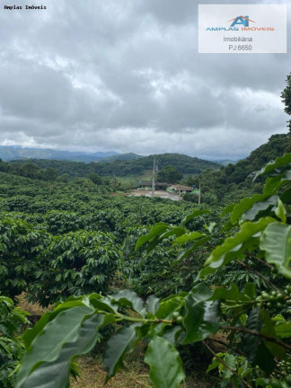 Imagem Fazenda à Venda, 35 m² em Manhumirim