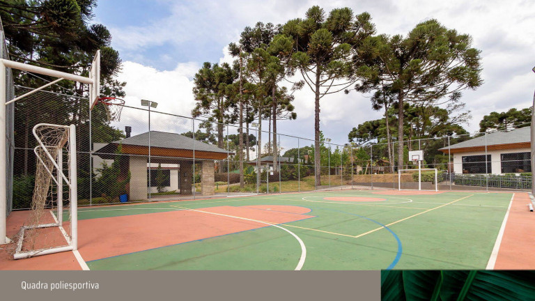 Imagem Terreno à Venda, 1.095 m² em Augusta - Curitiba Imagem Terreno à Venda, 1.095 m² em Augusta - Curitiba
