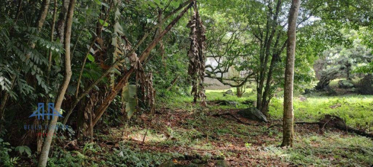 Imagem Terreno à Venda, 471 m² em Córrego Grande - Florianópolis