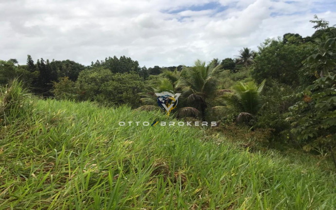 Imagem Terreno à Venda, 7.500 m² em Tânia - Santa Cruz Cabrália