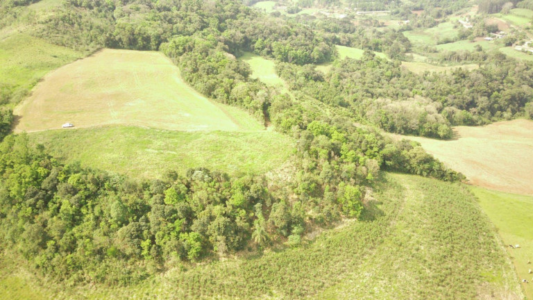Imagem Terreno à Venda, 242.000 m² em Rural - Concórdia Imagem Terreno à Venda, 242.000 m² em Rural - Concórdia