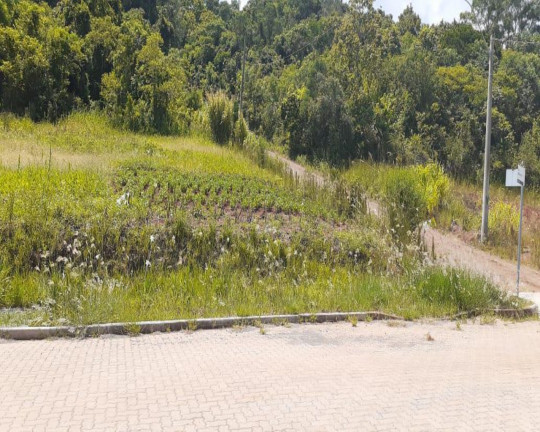 Imagem Imóvel à Venda, 970 m² em Centro - Linha Nova Imagem Imóvel à Venda, 970 m² em Centro - Linha Nova