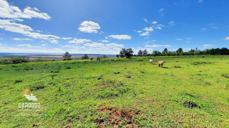 Imagem Fazenda à Venda, 120.000 m² em águas Claras - Viamão Imagem Fazenda à Venda, 120.000 m² em águas Claras - Viamão