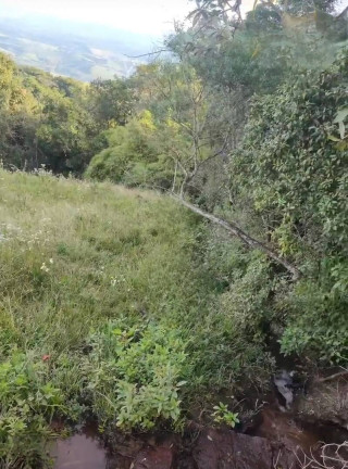 Imagem Fazenda à Venda, 9 m² em São João Da Boa Vista Imagem Fazenda à Venda, 9 m² em São João Da Boa Vista