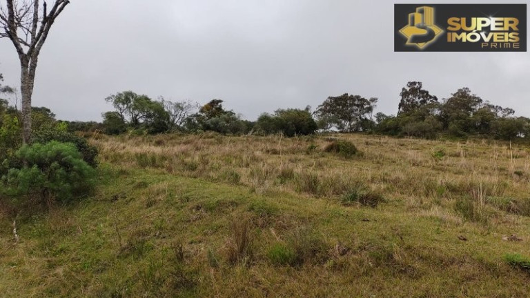 Imagem Imóvel com 4 Quartos à Venda, 2.600.000 m² em Centro - Canguçu