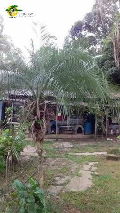 Imagem Terreno à Venda, 2 m² em Mantiqueira - Mairiporã Imagem Terreno à Venda, 2 m² em Mantiqueira - Mairiporã