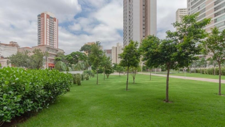 Imagem Apartamento com 4 Quartos à Venda, 171 m² em Aclimação - Sp Imagem Apartamento com 4 Quartos à Venda, 171 m² em Aclimação - Sp