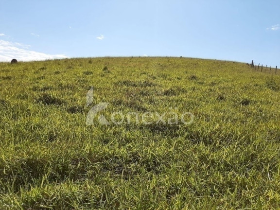 Imagem Chácara com 4 Quartos à Venda, 150 m² em Centro - Paraibuna Imagem Chácara com 4 Quartos à Venda, 150 m² em Centro - Paraibuna