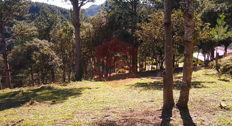 Imagem Chácara com 1 Quarto à Venda, 1 m² em Itambezinho - Campo Largo