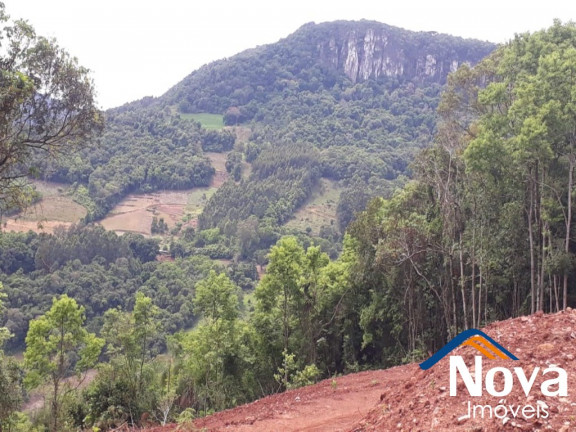 Imagem Imóvel à Venda, 31.701 m² em Linha Pirajá Baixa - Nova Petrópolis Imagem Imóvel à Venda, 31.701 m² em Linha Pirajá Baixa - Nova Petrópolis