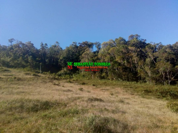 Imagem Chácara à Venda, 11 m² em Centro - Piquete Imagem Chácara à Venda, 11 m² em Centro - Piquete