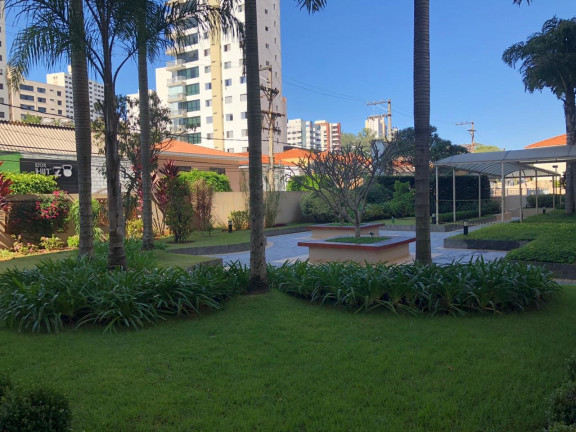 Imagem Apartamento com 2 Quartos à Venda, 67 m² em Aclimação - Sp Imagem Apartamento com 2 Quartos à Venda, 67 m² em Aclimação - Sp