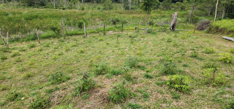 Imagem Chácara com 2 Quartos à Venda, 150 m² em Vila São Germano - Paraibuna
