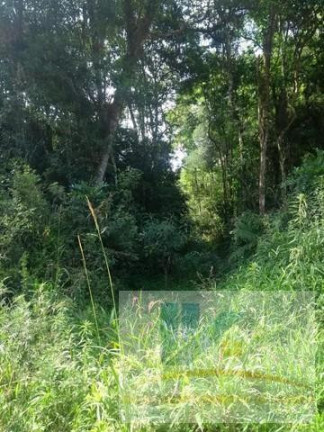 Imagem Terreno à Venda, 20.000 m² em Contenda - São José Dos Pinhais