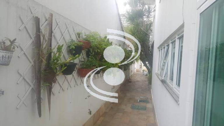 Imagem Casa com 4 Quartos à Venda, 600 m² em Barra Da Tijuca - Rio De Janeiro Imagem Casa com 4 Quartos à Venda, 600 m² em Barra Da Tijuca - Rio De Janeiro