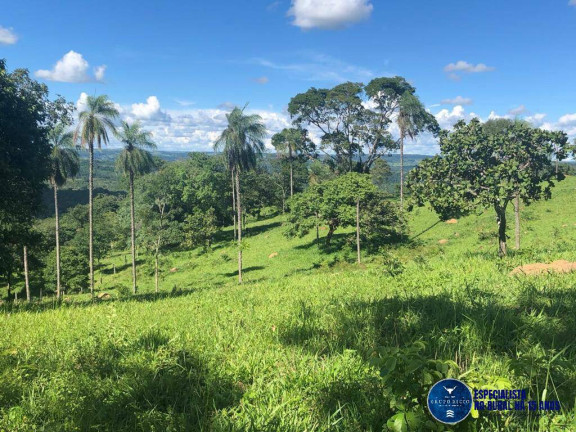 Imagem Fazenda à Venda, 52 m² em Zona Rural - Senador Canedo Imagem Fazenda à Venda, 52 m² em Zona Rural - Senador Canedo
