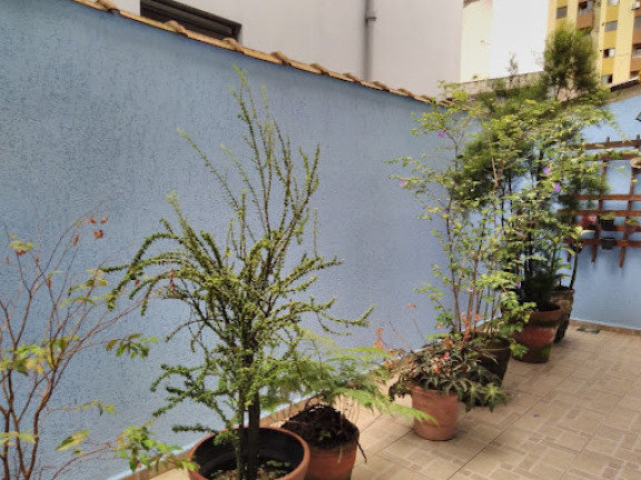 Imagem Casa com 2 Quartos à Venda, 105 m² em Embaré - Santos Imagem Casa com 2 Quartos à Venda, 105 m² em Embaré - Santos