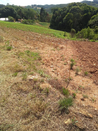 Imagem Imóvel à Venda, 76 m² em Contenda - Contenda