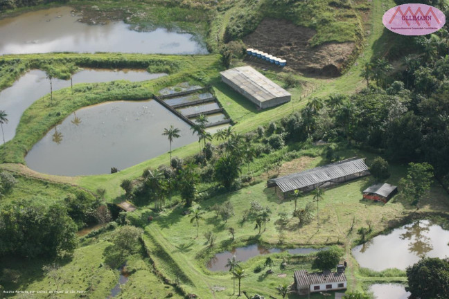 Imagem Imóvel com 1 Quarto à Venda, 83 m² em Plantação Com Certificação Orgânica Para O Brasil E Para A Europa. - Peruíbe