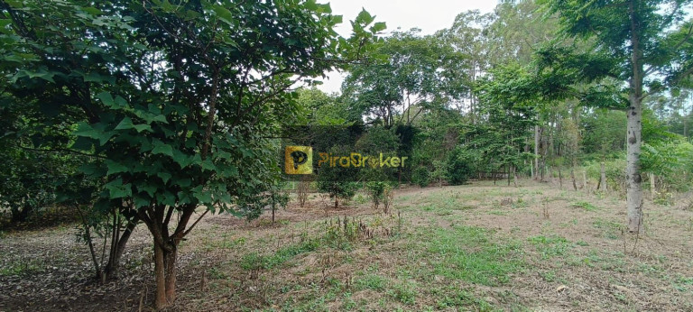 Imagem Imóvel com 7 Quartos à Venda, 38.588 m² em Santa Luzia - Charqueada Imagem Imóvel com 7 Quartos à Venda, 38.588 m² em Santa Luzia - Charqueada