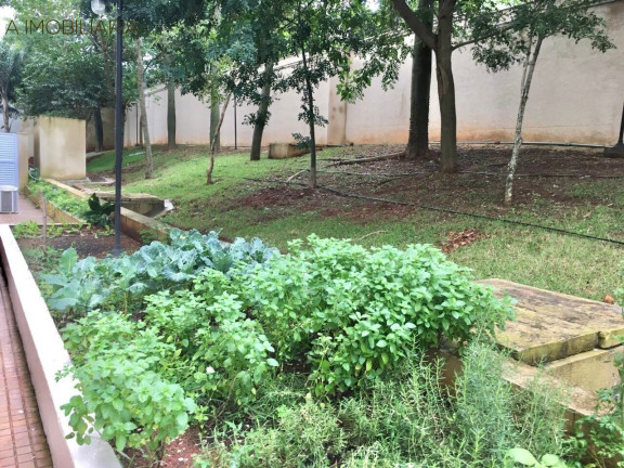 Imagem Imóvel com 3 Quartos à Venda, 64 m² em Jardim Celeste - São Paulo Imagem Imóvel com 3 Quartos à Venda, 64 m² em Jardim Celeste - São Paulo