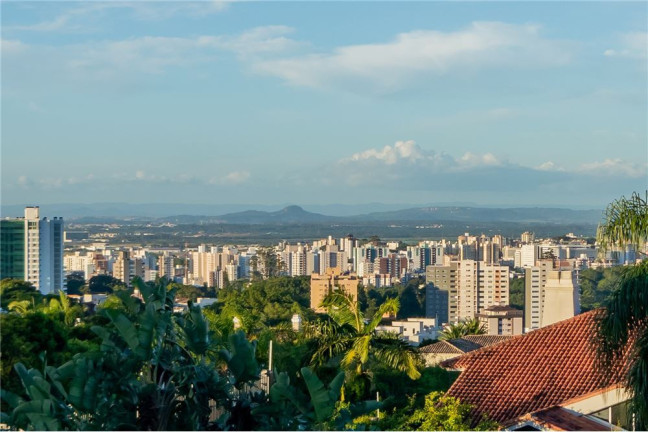 Imagem Imóvel com 3 Quartos à Venda, em Três Figueiras - Porto Alegre Imagem Imóvel com 3 Quartos à Venda, em Três Figueiras - Porto Alegre