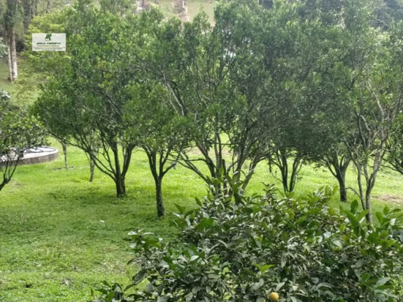 Imagem Chácara com 6 Quartos à Venda, 22.000 m² em Alto Da Serra - São Roque Imagem Chácara com 6 Quartos à Venda, 22.000 m² em Alto Da Serra - São Roque