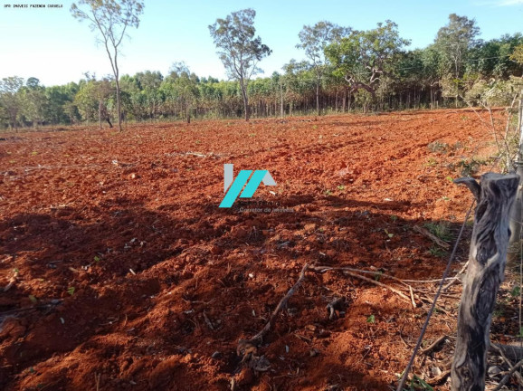 Imagem Fazenda à Venda, 25 m² em Zona Rural - Curvelo Imagem Fazenda à Venda, 25 m² em Zona Rural - Curvelo