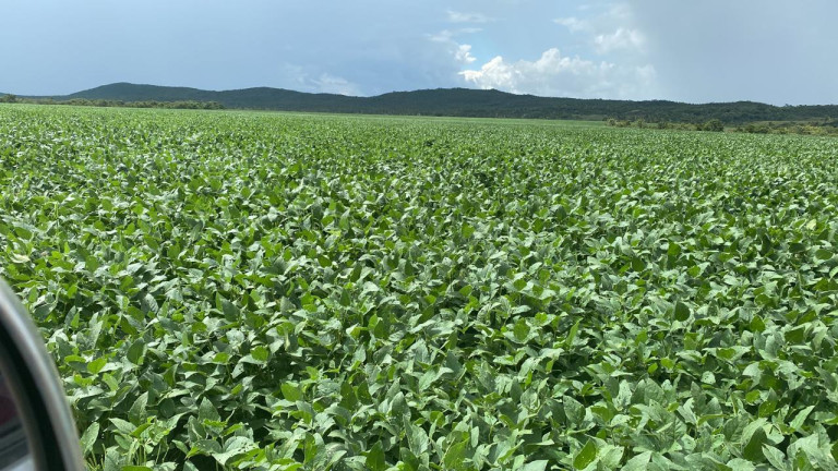 Imagem Fazenda à Venda, 963 m² em Rural - Rosário Oeste