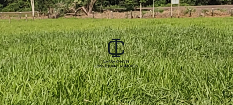 Imagem Terreno à Venda, 4 m² em área Rural - Bandeirantes