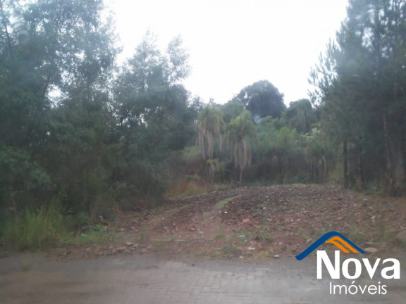 Imagem Imóvel à Venda, 434 m² em Pousada Da Neve - Nova Petrópolis Imagem Imóvel à Venda, 434 m² em Pousada Da Neve - Nova Petrópolis