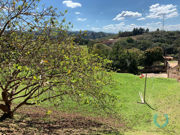 Imagem Casa de Condomínio com 3 Quartos à Venda, 350 m² em Parque Recreio Mirante - São Roque Imagem Casa de Condomínio com 3 Quartos à Venda, 350 m² em Parque Recreio Mirante - São Roque