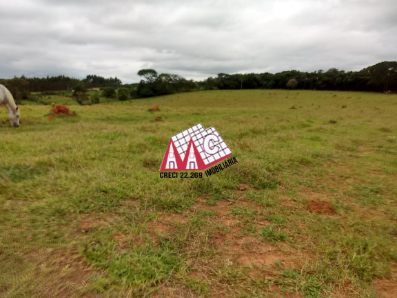 Imagem Imóvel com 3 Quartos à Venda, 484.000 m² em Sarapui - Sarapui Imagem Imóvel com 3 Quartos à Venda, 484.000 m² em Sarapui - Sarapui