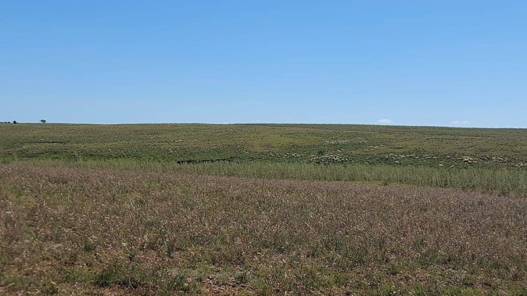 Imagem Imóvel com 2 Quartos à Venda, 2.656 m² em Quaraí Imagem Imóvel com 2 Quartos à Venda, 2.656 m² em Quaraí