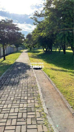 Imagem Apartamento com 2 Quartos à Venda, 46 m² em Jardim Nações Unidas - Londrina Imagem Apartamento com 2 Quartos à Venda, 46 m² em Jardim Nações Unidas - Londrina