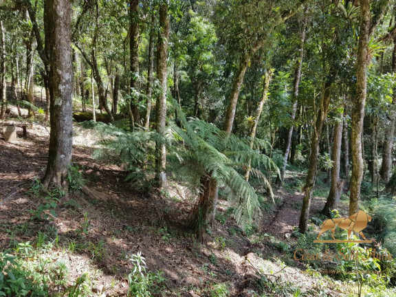 Imagem Casa com 4 Quartos à Venda, 80 m² em Recanto Das Araucárias - Campos Do Jordão Imagem Casa com 4 Quartos à Venda, 80 m² em Recanto Das Araucárias - Campos Do Jordão