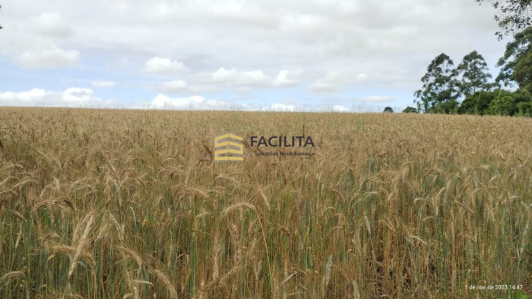 Imagem Imóvel com 2 Quartos à Venda, 1.010.000 m² em Piquiri - Cachoeira Do Sul Imagem Imóvel com 2 Quartos à Venda, 1.010.000 m² em Piquiri - Cachoeira Do Sul