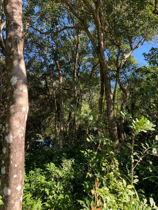 Imagem Terreno à Venda, 600 m² em Ambrósio - Garopaba