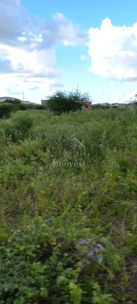 Imagem Terreno à Venda, 4 m² em Centro - Ponto Novo