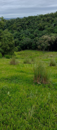 Imagem Imóvel à Venda,  em Tatetu - Alambari