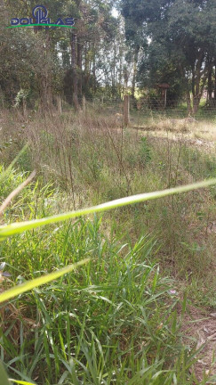 Imagem Chácara com 4 Quartos à Venda, 5.000 m² em Viamão Imagem Chácara com 4 Quartos à Venda, 5.000 m² em Viamão